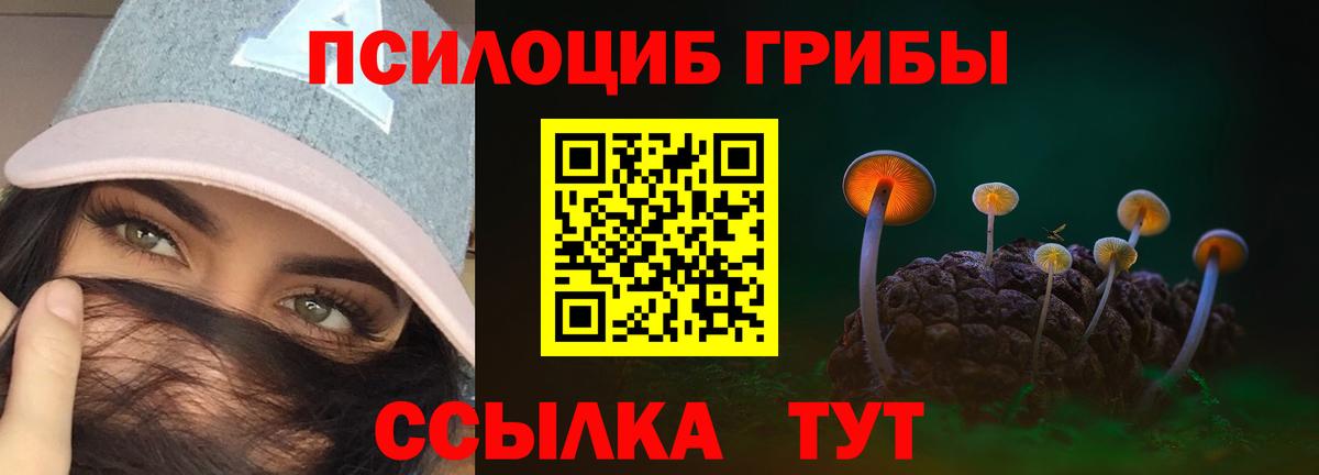 Псилоцибиновые грибы прущие грибы Сергиев Посад